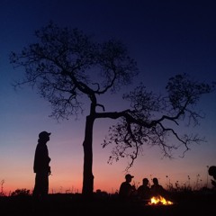 Lagu Pecinta Alam - Song Salam Lestari.mp3