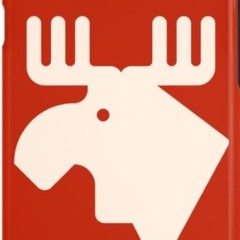 Sascha Rodrigo Suarez