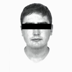 Luigi Lynch / an honest fox