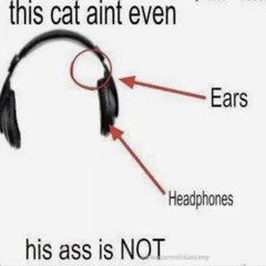 dj ratdesire