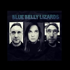 Blue Belly Lizards