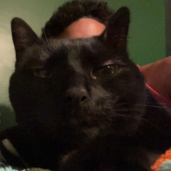 Everybody-loves-Coleslaw