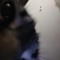 I LOVE my cat <3