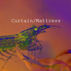 Curtain/Mattress
