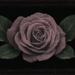 Kimetrius