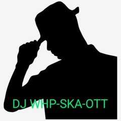 DJ WHP - Ska'-ott