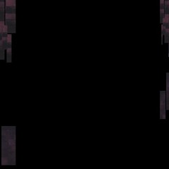 Jackie and the Diatoms