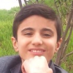 Mohammad Mehdi MohammadiZadeh