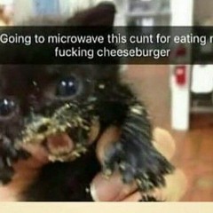 hunger...🦎