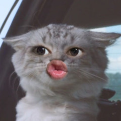 upi