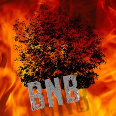 Bush Not Burning