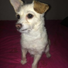 Kiana Wiersema-Tapara