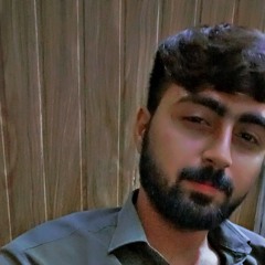 Syed zain shah Rizvi