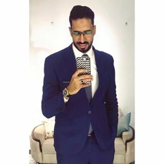 Ahmed S. Hegab