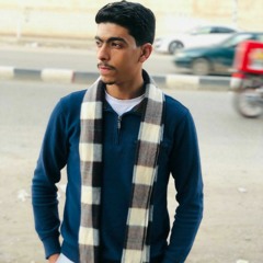 Hassan Elsaeed