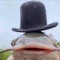 TopHatFish