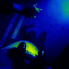 Keep6