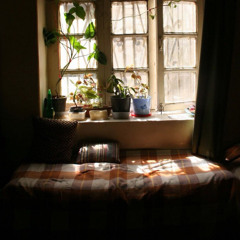 فاطِمة ☁️🍃