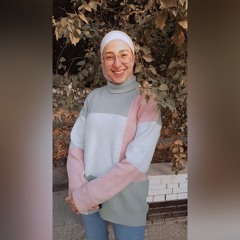 Mona Ezzat Nofal
