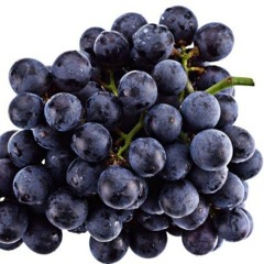 ✨ 🍇graps🍇 ✨