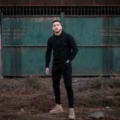 Amr A. Hamesa