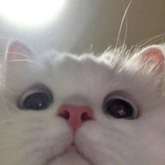 _Yuni_