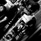 projectdeadworld.