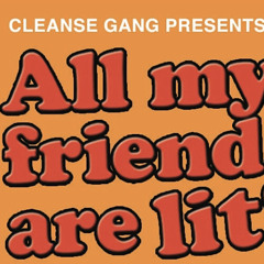 All My Friends Are Lit