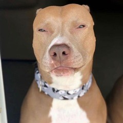 Benoftheworld