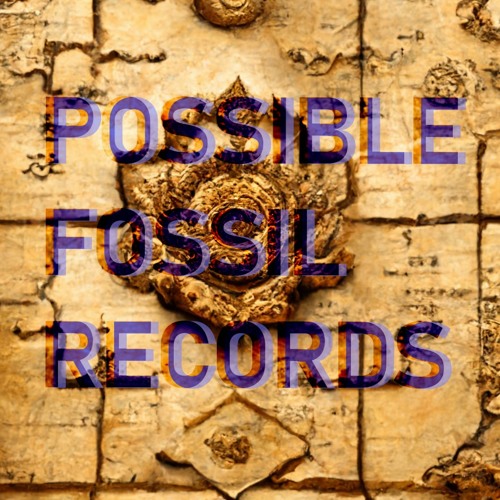 Possible Fossil Records’s avatar