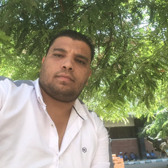 Mohamed Rafaat Sayed