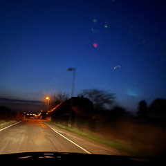 arschlöscherhabenvorrang