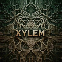 Xylem Psy