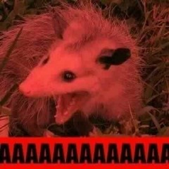 trashy_mammal