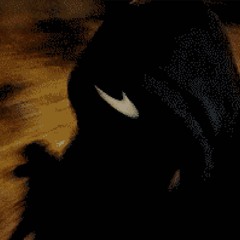 °°/sync