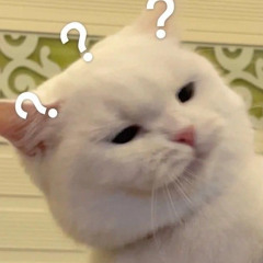 wNhy