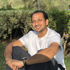 Amr Mohsen