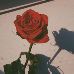 Sir RoseGarden