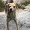 mable
