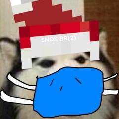 FNX EPICSNOK