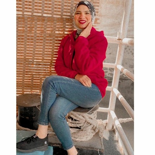 Amina A. Hussien’s avatar
