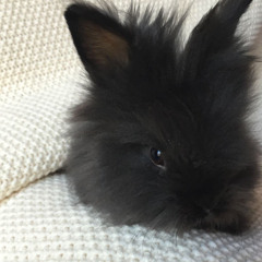 ♥