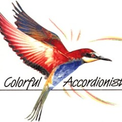 Colorful Accordionists