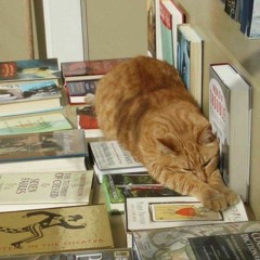 хуй на ножке❤️