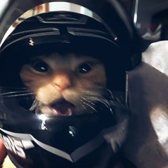 𝑴𝒊𝒍𝒐۶ৎ