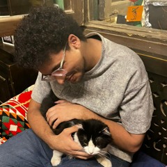 Abdelrahman A. Al Shahat