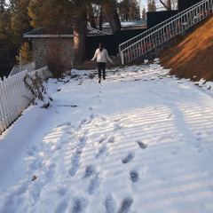 CHIDIYA - VILEN WITHOUT ANY BREAK