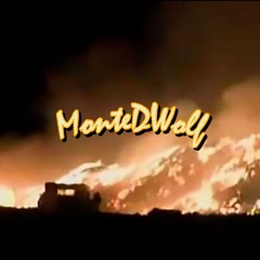 MonteDWolf