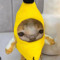 rrrros