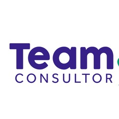 Team Consultores